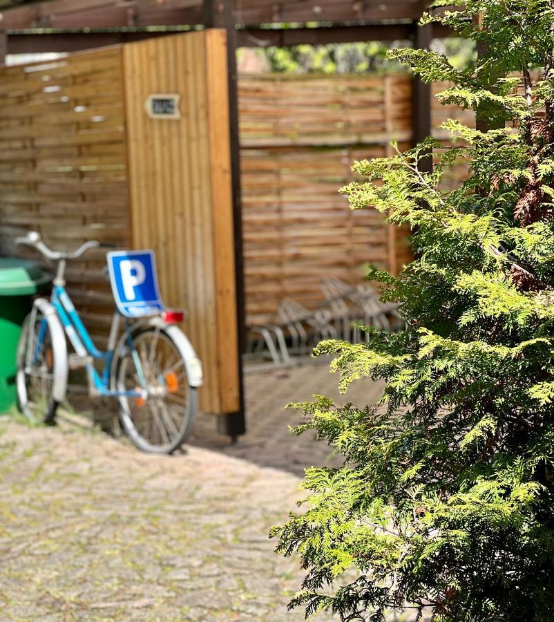Traditionsgasthaus Goldener Loewe Riesa Restaurant & Pension Bagian luar foto